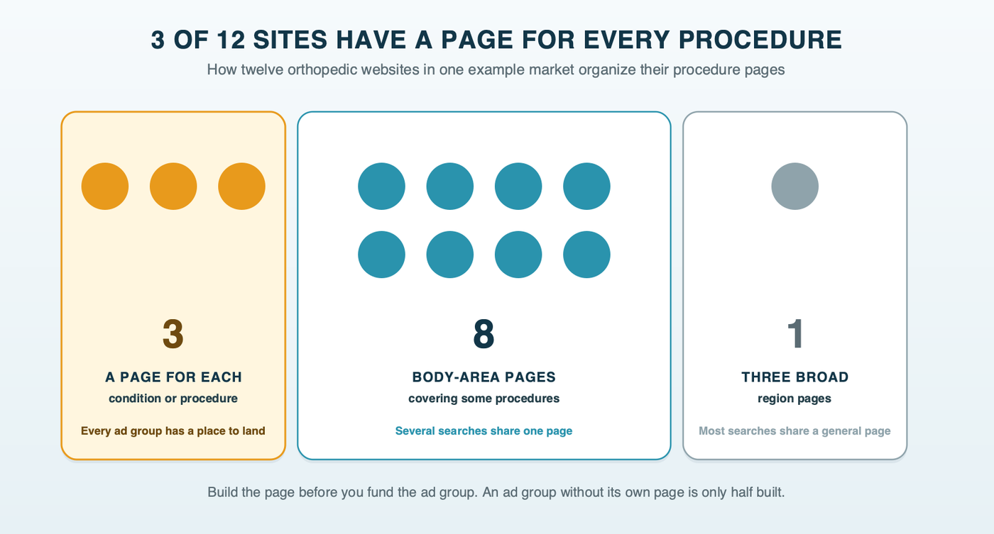 Twelve orthopedic websites grouped by how they organize procedure pages: three with a page for each procedure, eight with body-area pages that cover some procedures, and one with three broad region pages