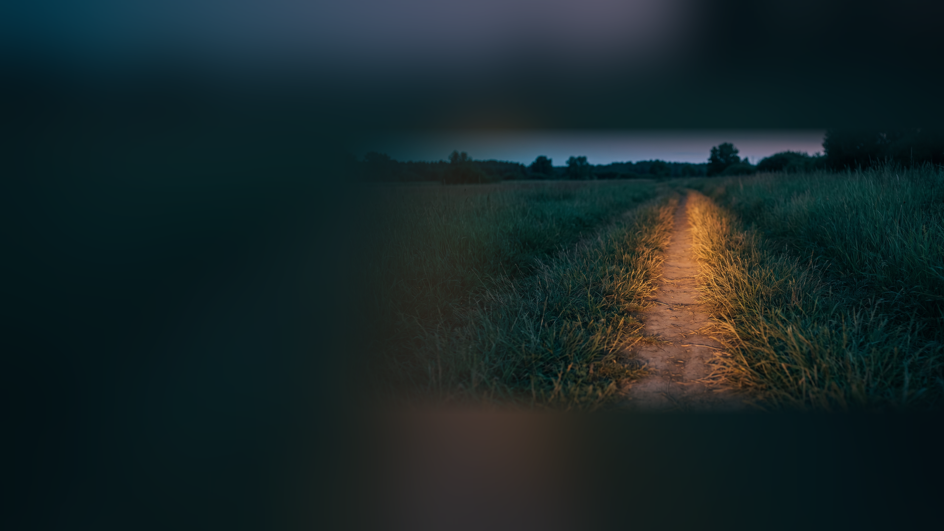 A single footpath worn through tall untouched grass at dusk, lit warm amber