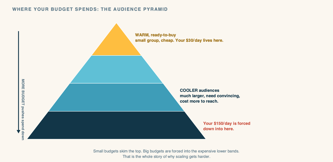 A diagram titled "Where Your Budget Spends: The Audience Pyramid." A pyramid split into horizontal bands. The narrow top band, glowing warm amber, is labeled "Warm, ready-to-buy - small group, cheap to convert. Your $30/day lives here." The wide lower bands, in cool teal, are labeled "Cooler audiences - much larger, need convincing, cost more to reach. Your $150/day is forced down here." A small arrow on the side shows budget pushing the spend downward into the cooler bands as it grows. A caption reads: small budgets skim the top. Big budgets are forced into the expensive middle. That's the whole story of why scaling gets harder.