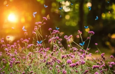 The Most Resilient Garden Plants