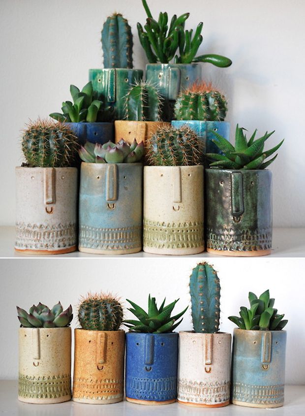 Cactusii – informatii utile despre amplasarea corecta