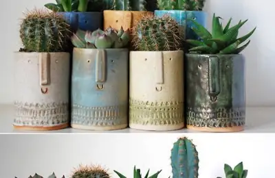 Cacti - Useful Information About Proper Placement