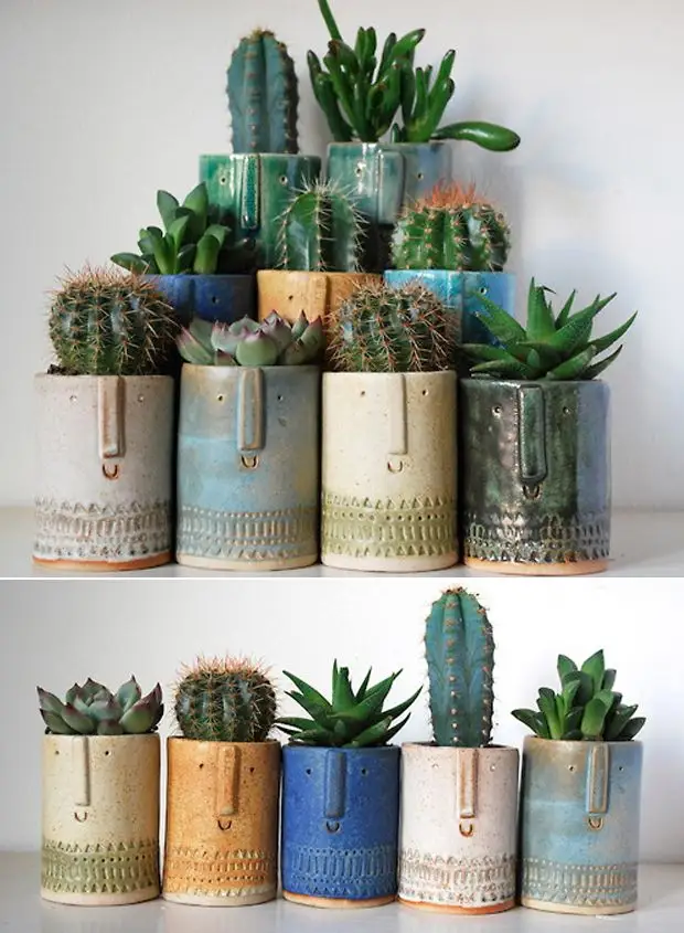 Cactusii – informatii utile despre amplasarea corecta