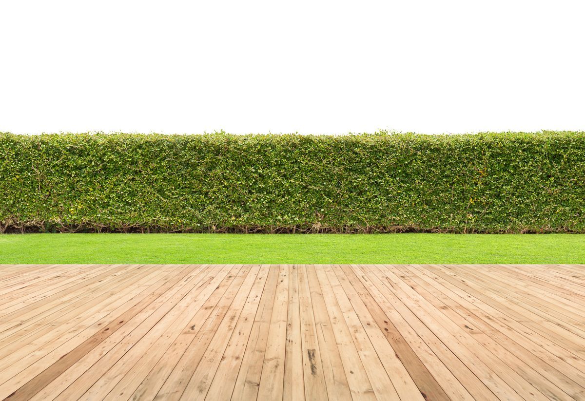 Visezi la o gradina in permanenta perfect verde? Iata 3 solutii pentru a transforma acest vis in realitate