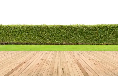 Dreaming of a perpetually green garden? Here are 3 solutions to make this dream a reality.