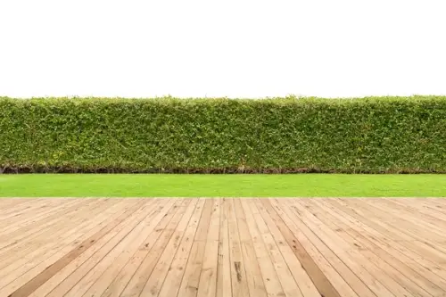 Visezi la o gradina in permanenta perfect verde? Iata 3 solutii pentru a transforma acest vis in realitate