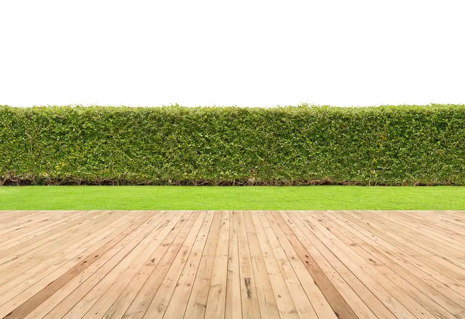 Visezi la o gradina in permanenta perfect verde? Iata 3 solutii pentru a transforma acest vis in realitate