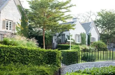 Top 15 Innovative Ideas for Creating a Living Fence