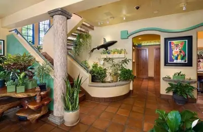 The Cat-Friendly House