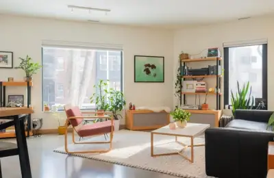 Living Rugs - Transforming Your House into "Home