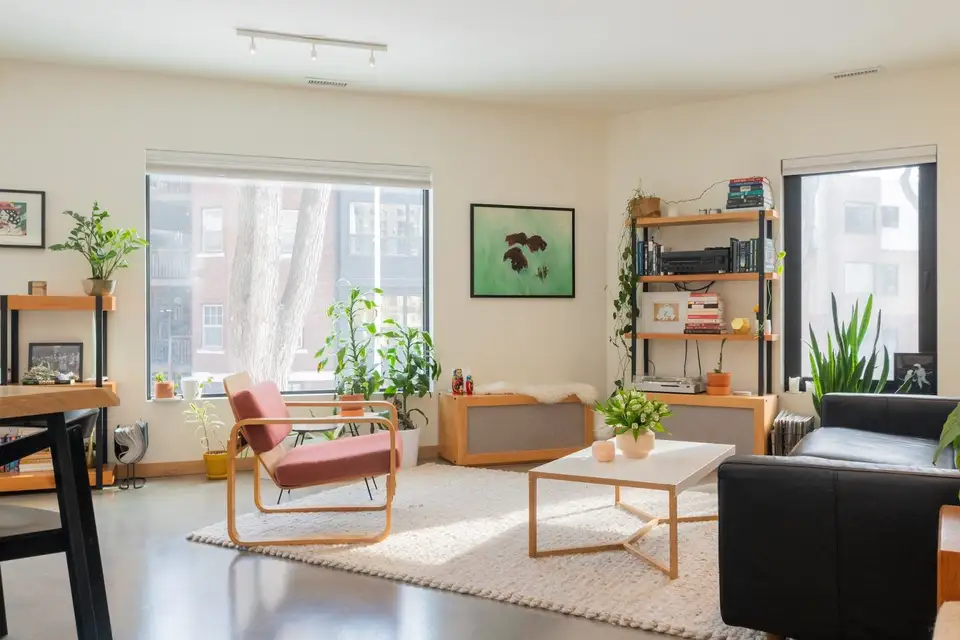 Living Rugs - Transforming Your House into "Home
