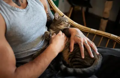Does Your Cat Follow You Everywhere? What It Means When Your Cat Won't Leave Your Side