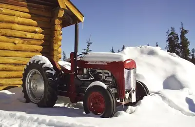 Preparing Your Yard for Winter