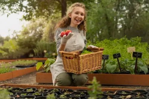 Cum să creezi o grădină comestibilă în curtea ta. Ghid pentru cultivarea legumelor, fructelor și plantelor aromatice în grădina proprie, indiferent de dimensiunea acesteia