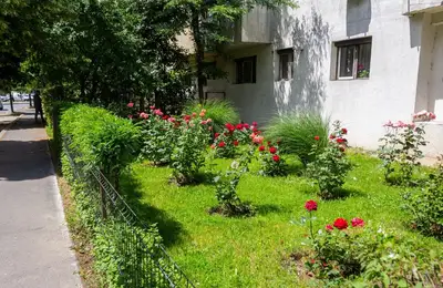 Benefits of Community Gardens and Green Space Maintenance