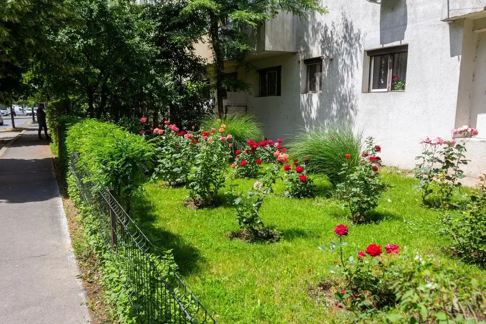 Beneficiile grădinilor comunitare și întreținerea spațiilor verzi