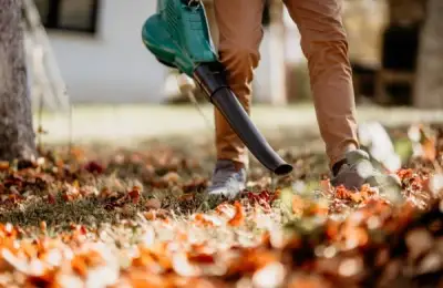 Choosing the Right Trowel for Your Garden