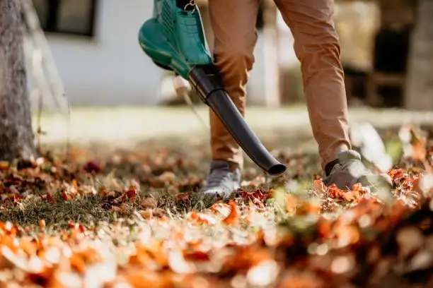 Alegerea suflantei potrivite pentru grădină
