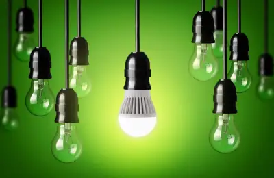 Everything About Bulbs: Types of Bulbs and Their Advantages and Disadvantages