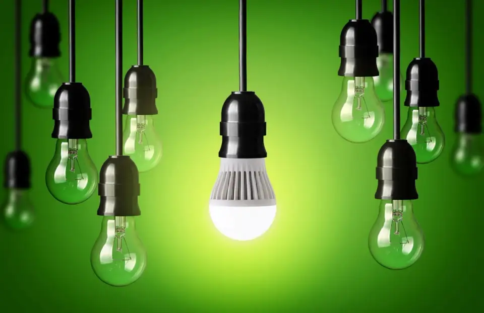 Everything About Bulbs: Types of Bulbs and Their Advantages and Disadvantages