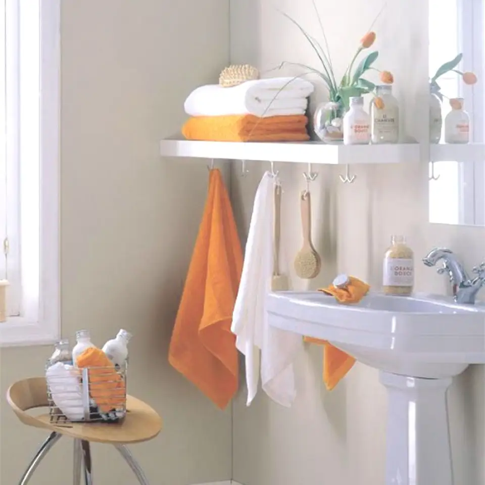 5 Tips for Bathroom Living When Renting