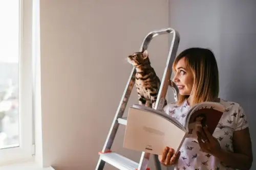 Renovarea unui apartament vechi: idei și costuri estimate