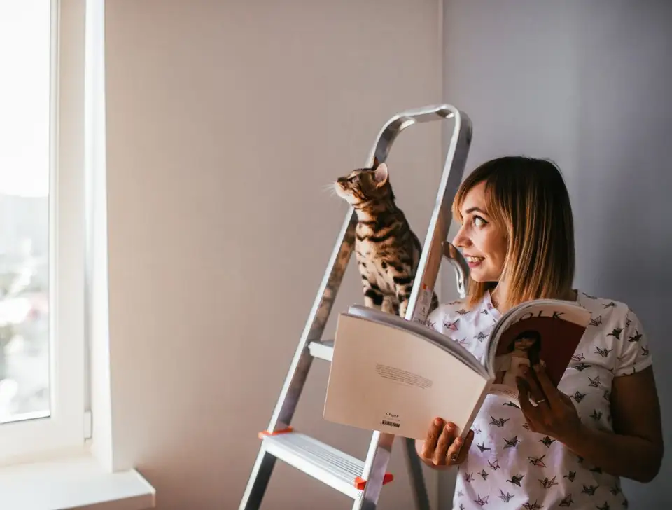 Renovarea unui apartament vechi: idei și costuri estimate