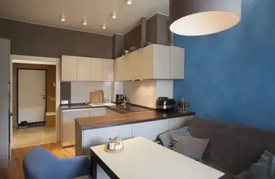 Modern Decor Proposed for a 43 sq m Apartment