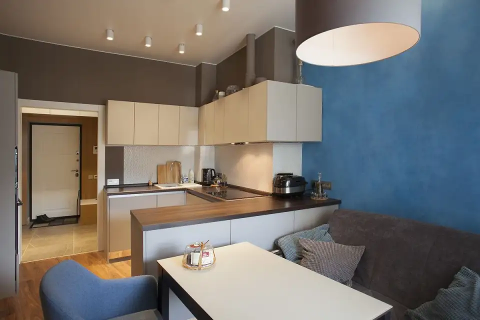 Modern Decor Proposed for a 43 sq m Apartment