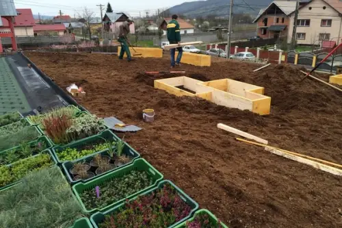 Cob Village Berca: Complex turistic amenajat din case de lut cu acoperisuri verzi