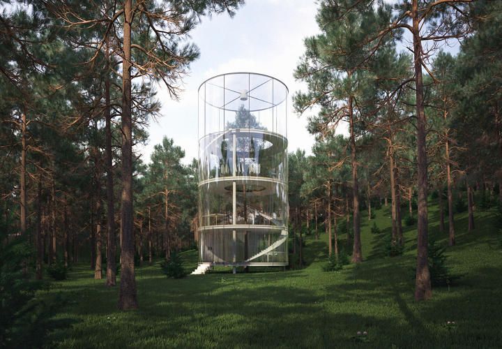 A Glass House Built Around a 12-Meter Fir Tree