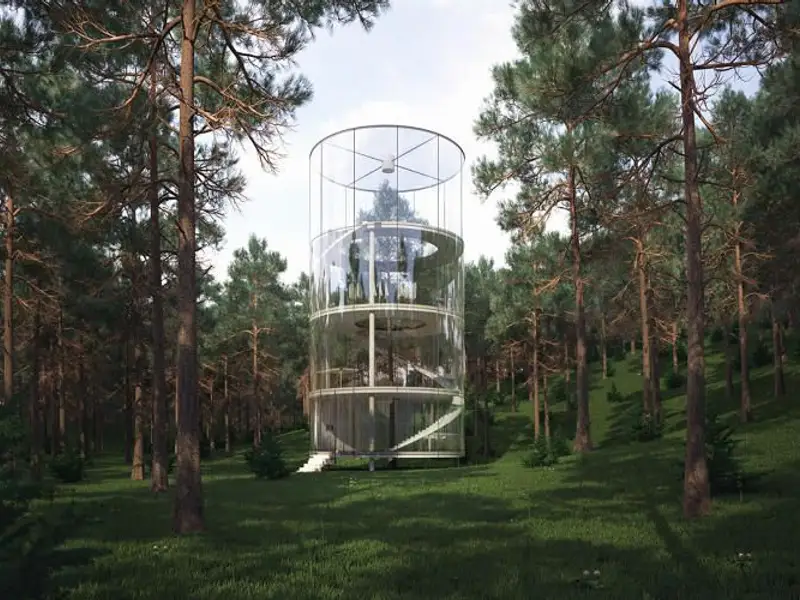 O casa de sticla construita in jurul unui brad de 12 metri