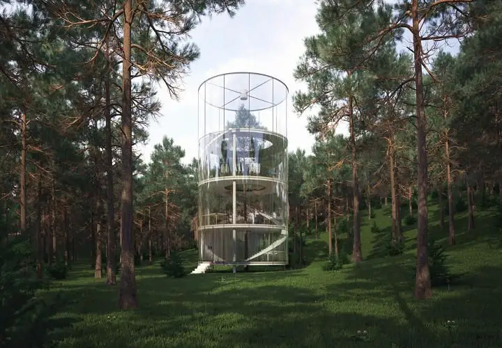 A Glass House Built Around a 12-Meter Fir Tree