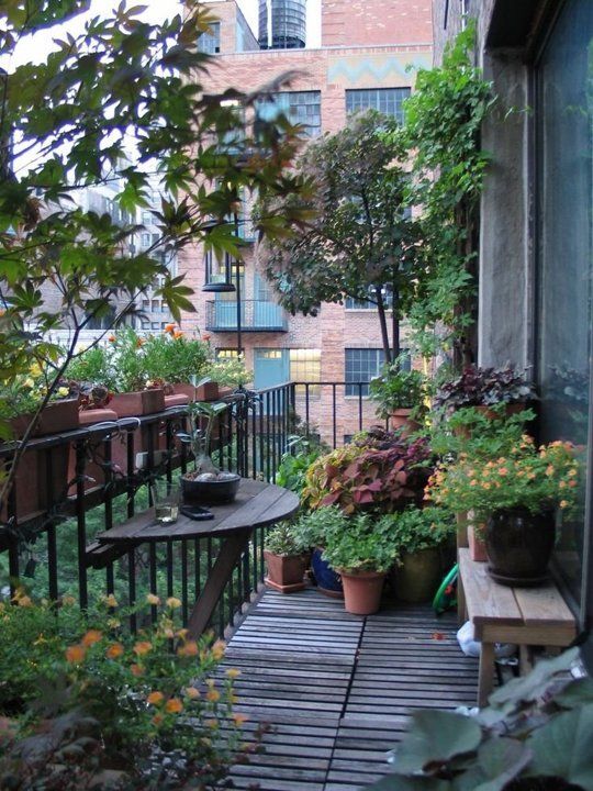 Reimagining the Balcony as an Urban Oasis