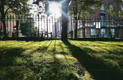 Landscape Architecture and Human Well-being: The Impact of Green Spaces on Mental and Physical Health