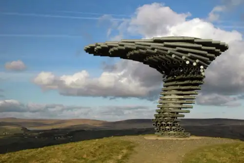 Copacul cantator – The Singing Ring Tree (VIDEO)