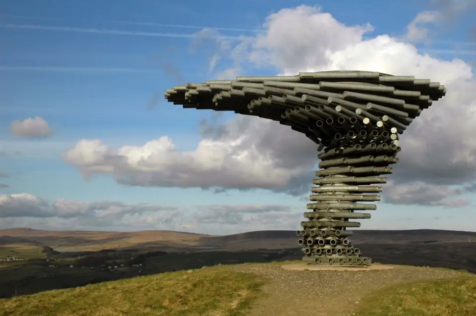 The Singing Ring Tree: Copacul Cantator (VIDEO)