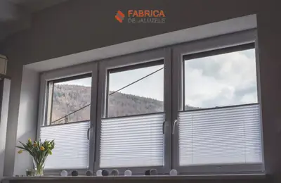Elegance and Energy Efficiency with Pleated Blinds: Find More Information Here