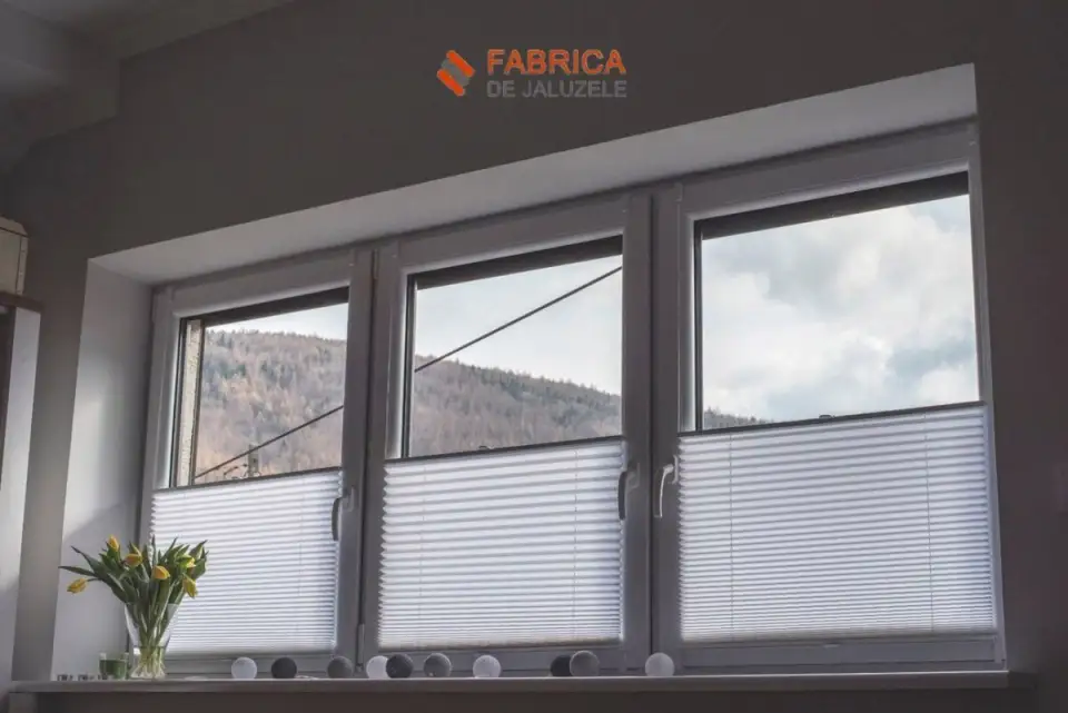 Elegance and Energy Efficiency with Pleated Blinds: Find More Information Here