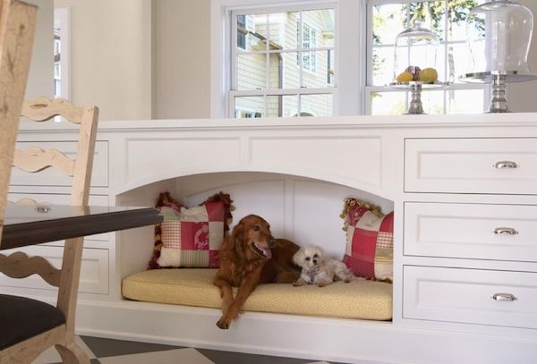 Creating Space for Pets in Your Home