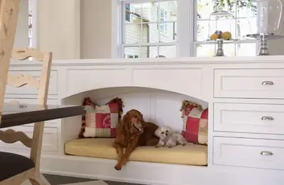 Creating Space for Pets in Your Home