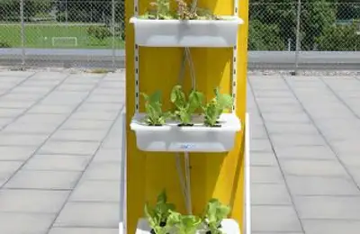 Ikea Apartment Mini-Gardens