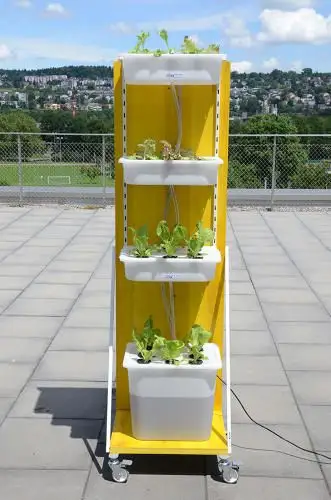 Ikea Apartment Mini-Gardens
