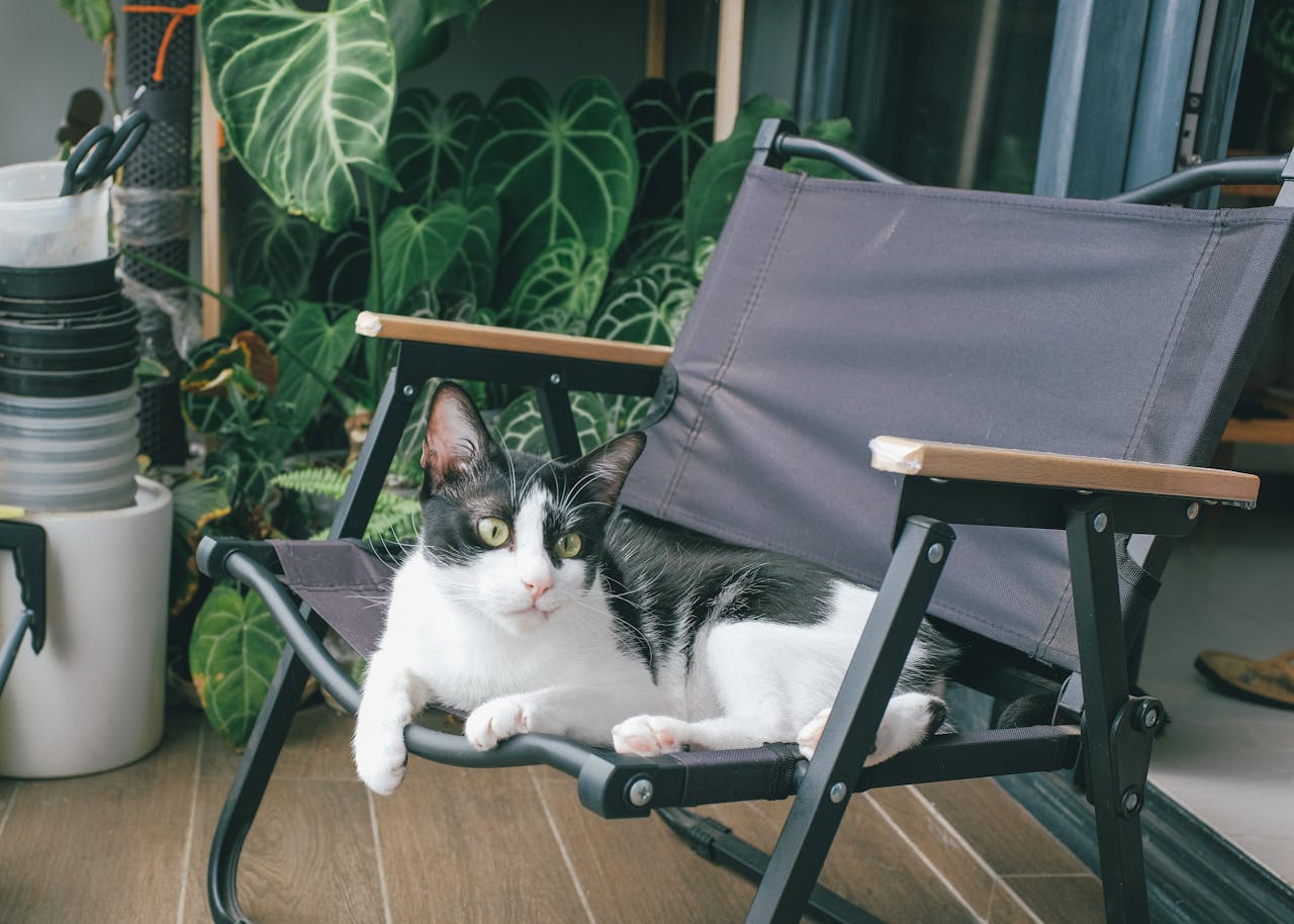 Cum să-ți organizezi balconul pentru a crea un colț de relaxare perfect