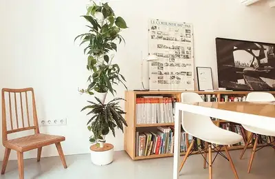 Modular Gardens: A New Way to Bring Green into Our Homes