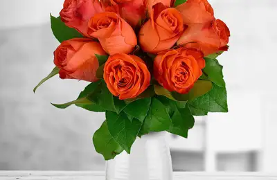 Where to Buy the Most Beautiful Rose Bouquets?