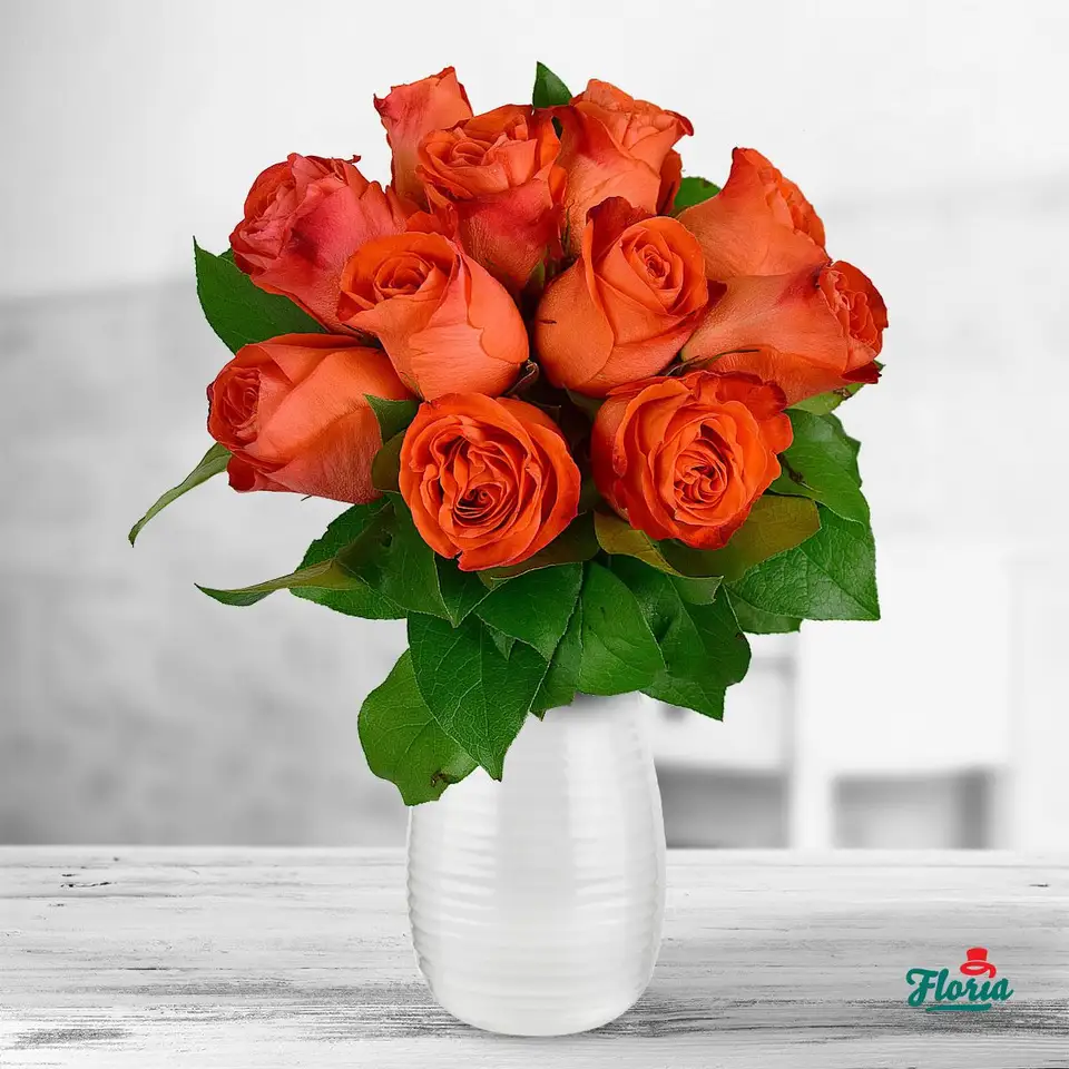 Where to Buy the Most Beautiful Rose Bouquets?