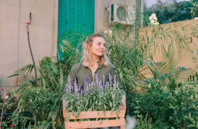 A Guide to Creating an Aromatic Garden: Ideal Plants for the Kitchen and Their Care