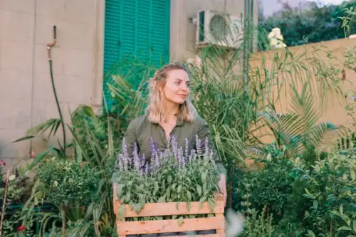 Ghid pentru Crearea unei Grădini Aromatice: Plantele Ideale pentru Bucătărie și Îngrijirea Lor