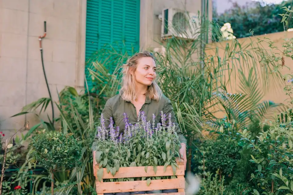 Ghid pentru Crearea unei Grădini Aromatice: Plantele Ideale pentru Bucătărie și Îngrijirea Lor